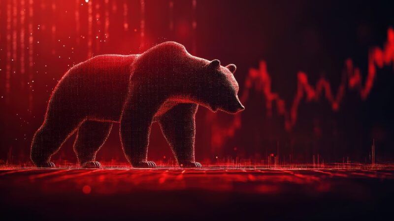 Bear markt: wat is het en hoe moet je er als belegger mee omgaan?