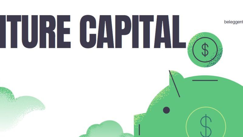 Venture Capital: een introductie voor dummies