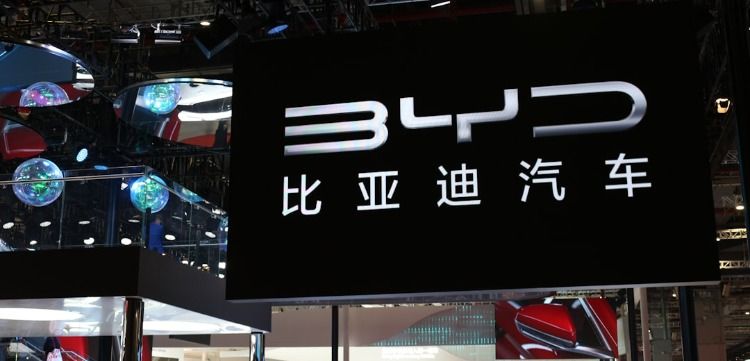 tesla vs byd