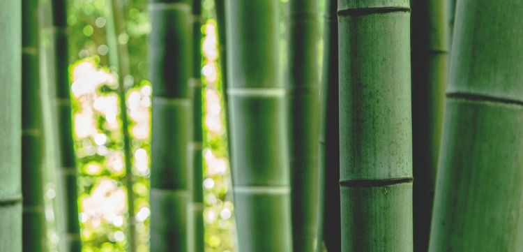 Waarom volhouden belangrijker is dan starten bij samengestelde intrest